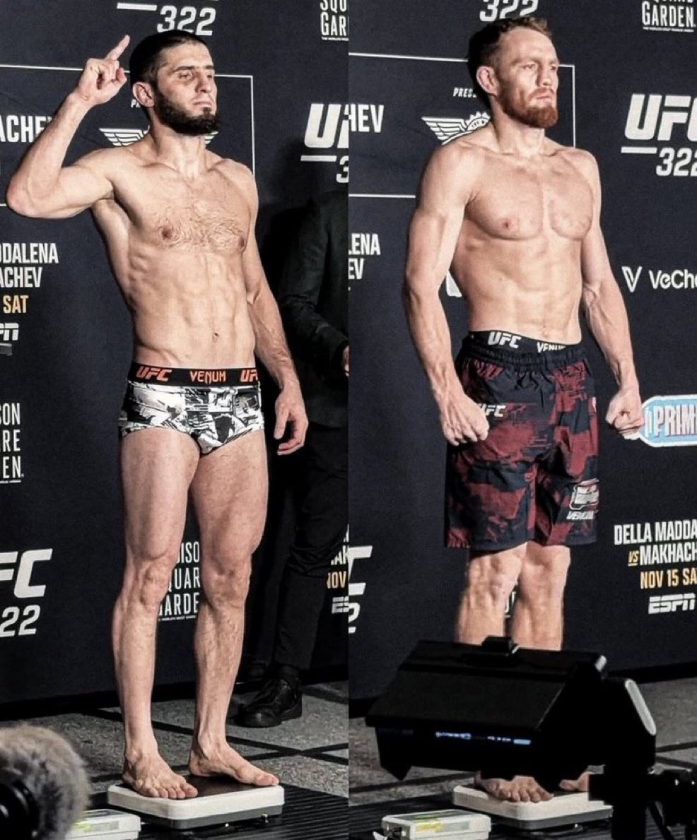 Casual MMA tweet media