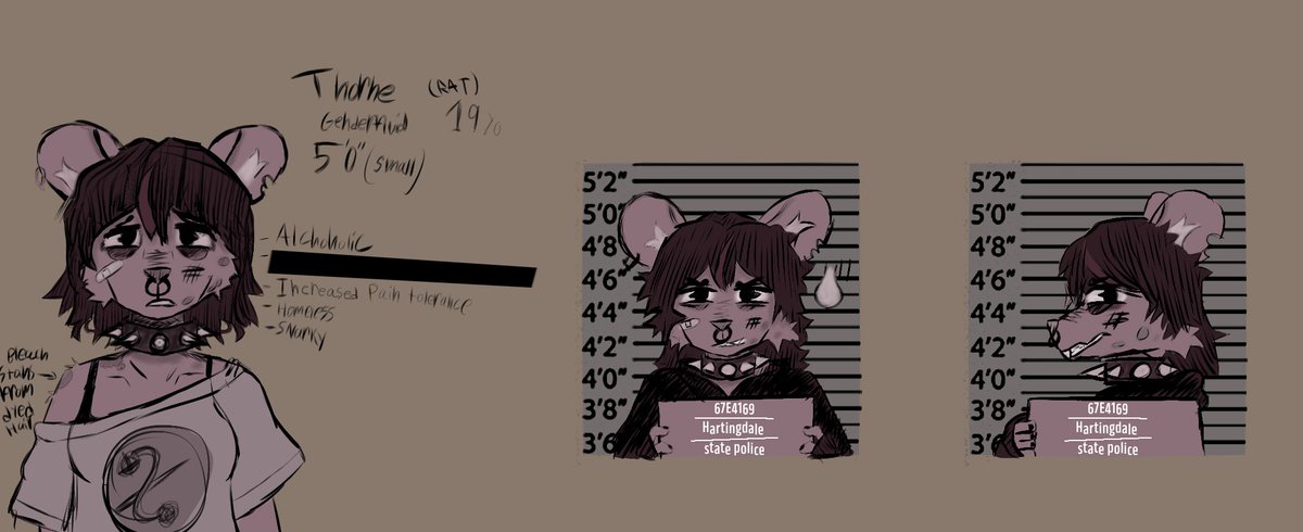 Win2erFoxXL's tweet image. rat twin