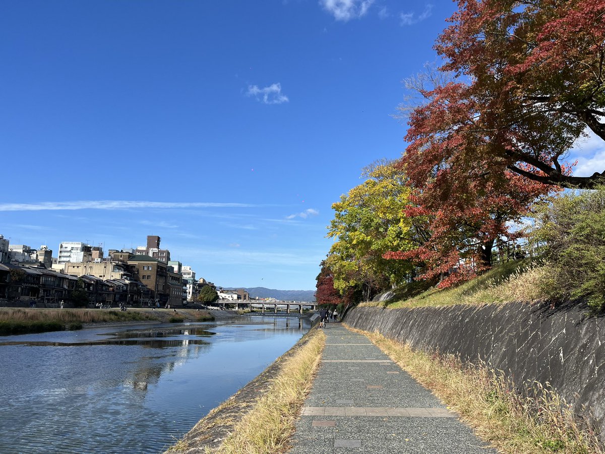 halfupman's tweet image. 祇園四条から出町柳まで京阪に乗ろうかと思ってたのに今日の空と鴨川と紅葉を見て徒歩を選択する←こういうのを人生の余裕と言う。