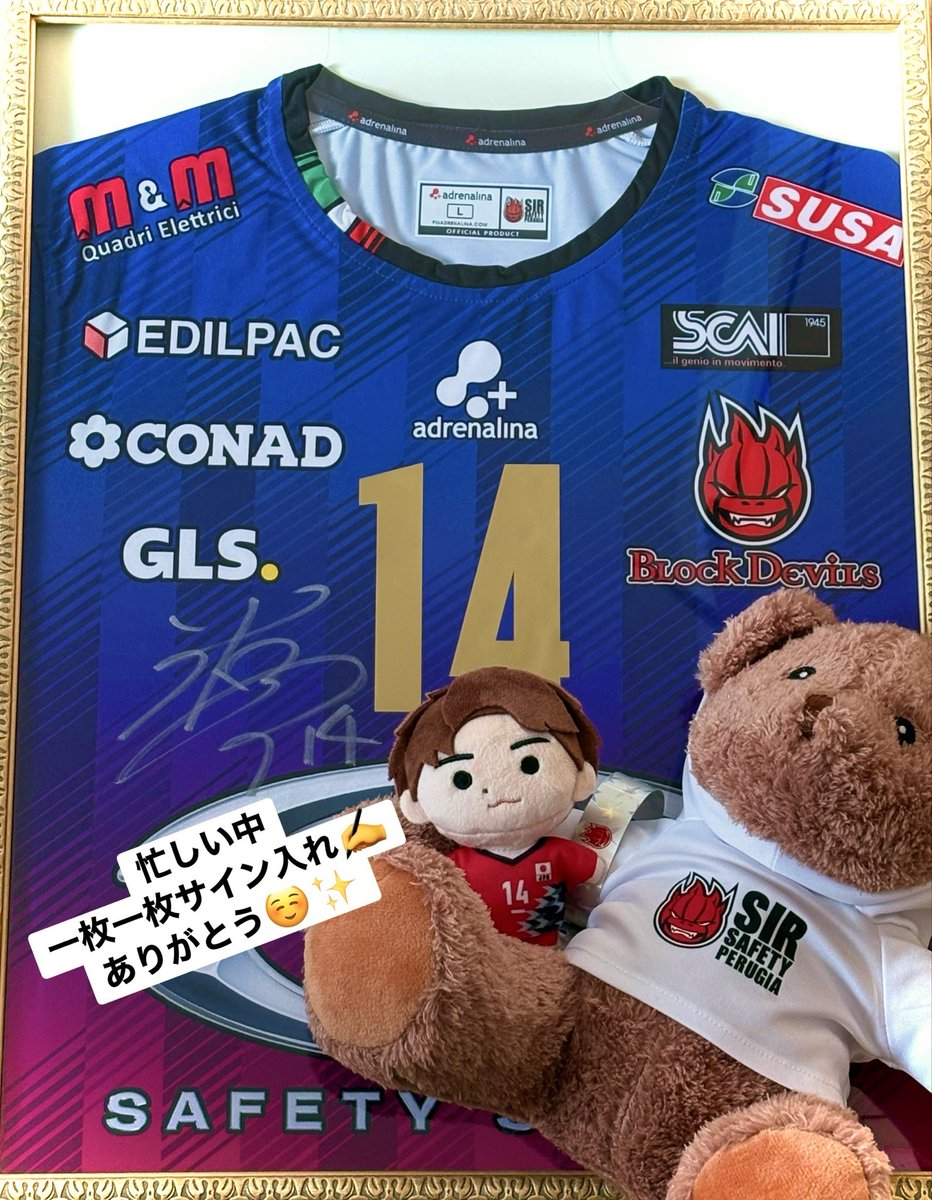 届きました／ ✨念願の✨ 📛SIR SUSA VIM PERUGIA CHAMPIONS LEAGUE