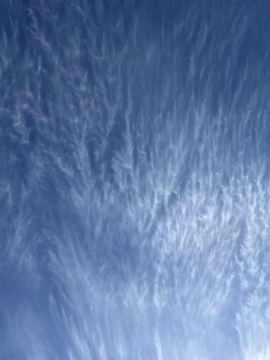 tocchi0204's tweet image. 