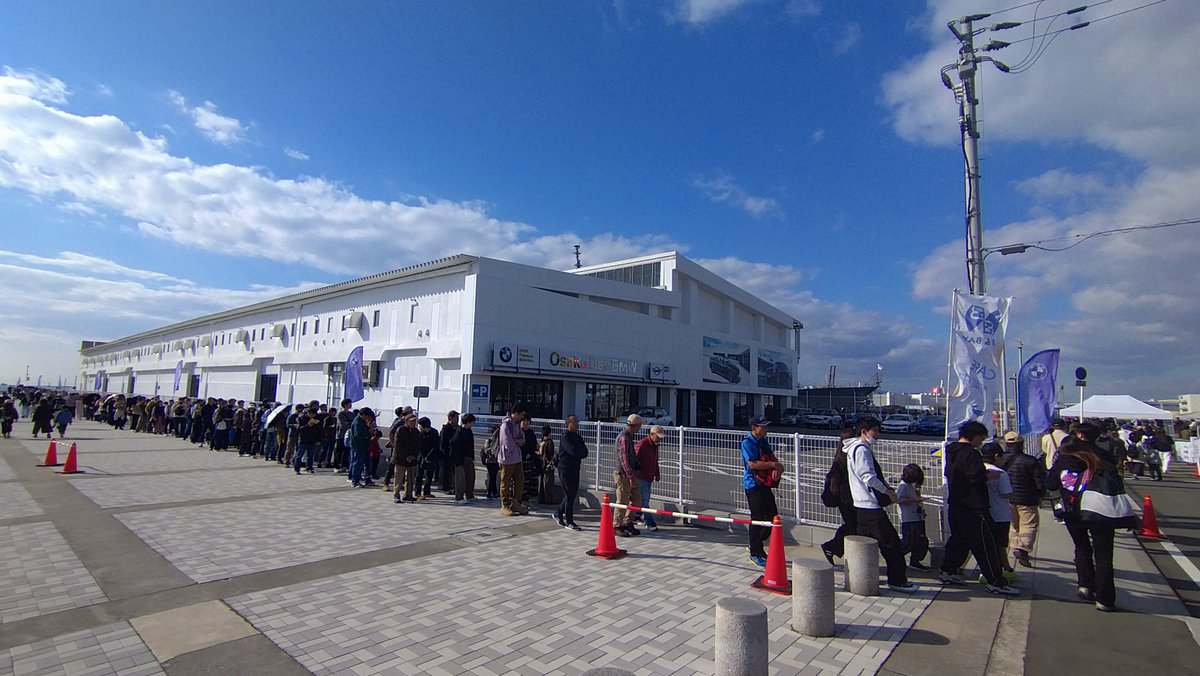 【株立ち・美白斑点模様】アオダモ A250402 【茨城直接引渡し可】山採り 株立ち・美白斑点模様】アオダモ A1 【茨城直接引渡し可】 【公式通販】