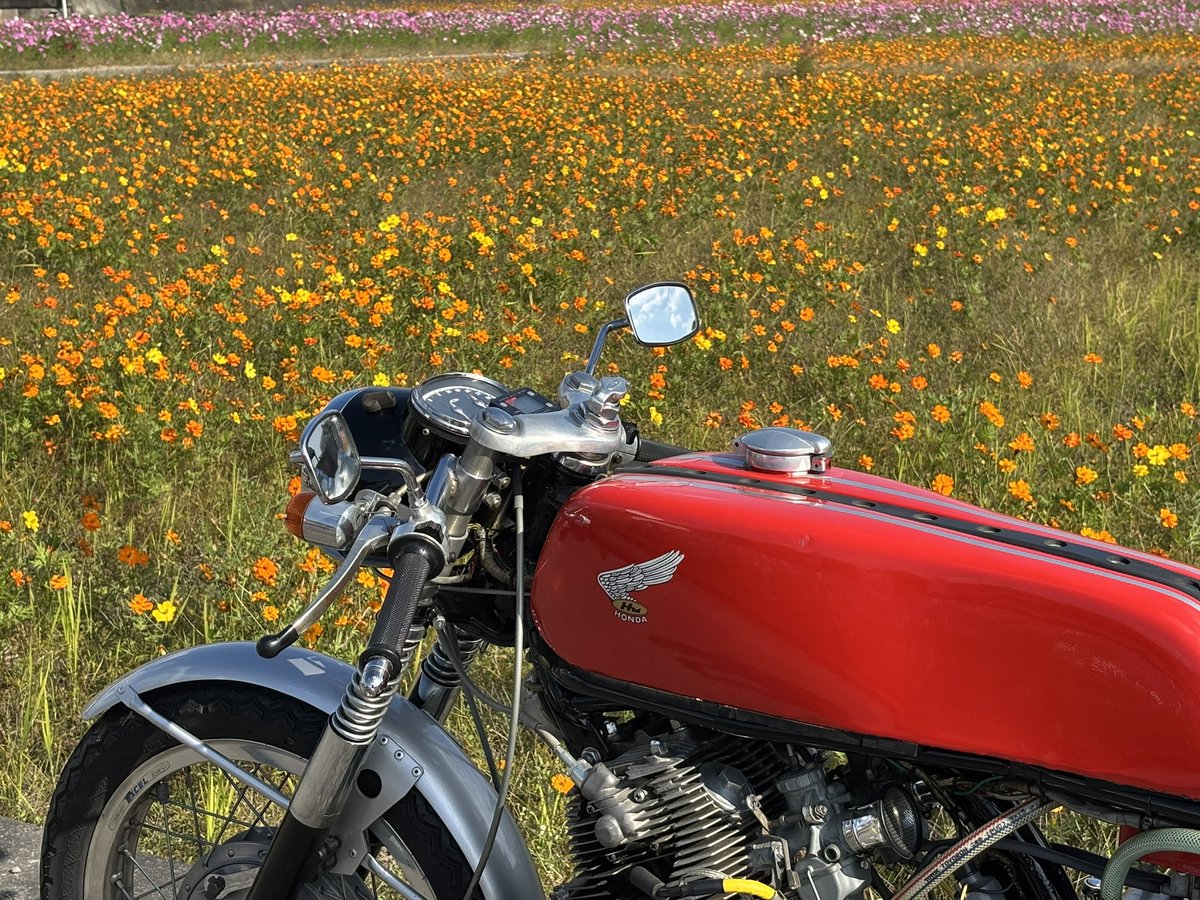 KATSUGARAGE2's tweet photo. 秋を探すツーリングwith CB72。
#CB72 #ビンテージバイク　#クラシックバイク　#旧車 https://t.co/cwBsmMIbsV
