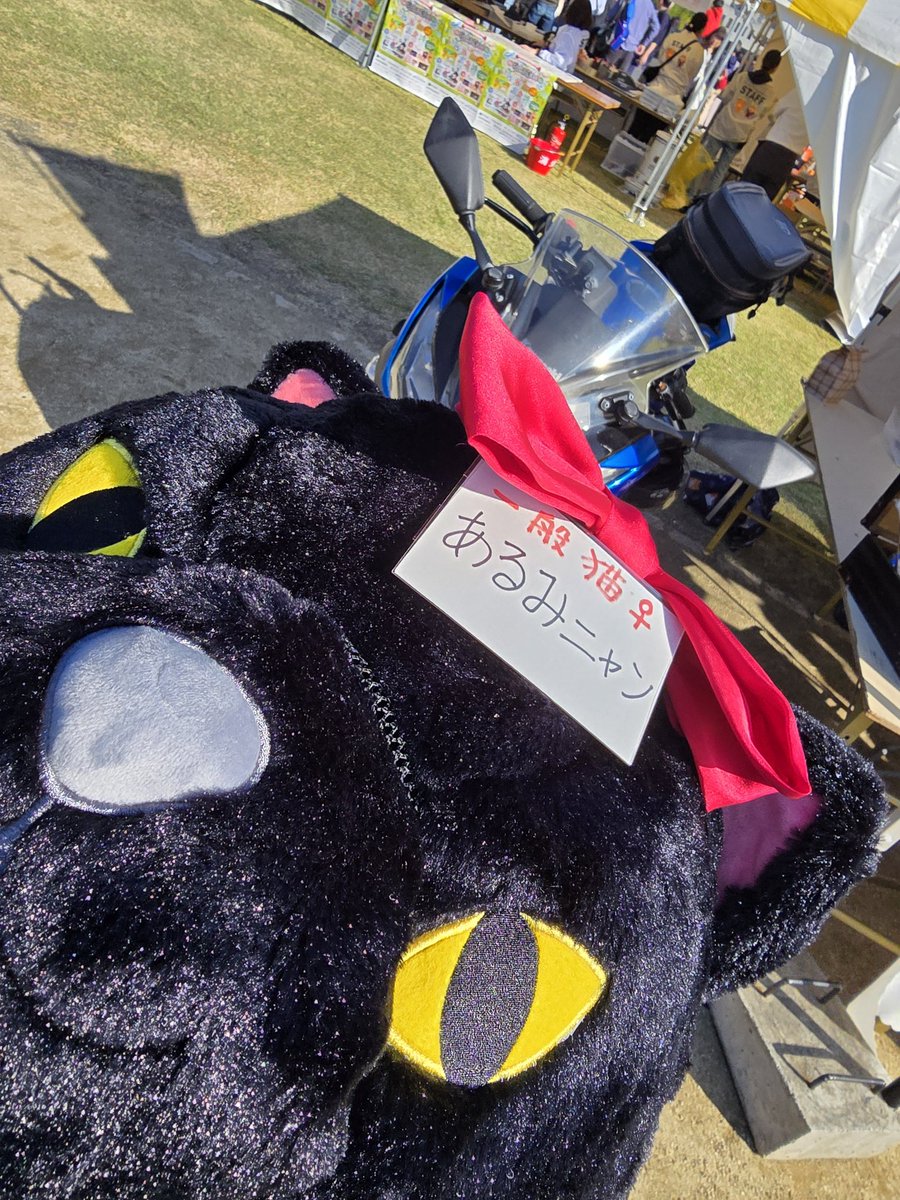 お裾分け用に！お買い上げありがとうございました♪