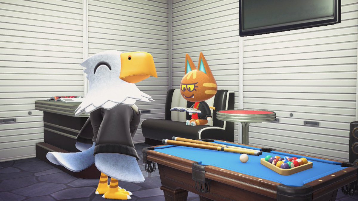 Why are they always hanging out when i see them