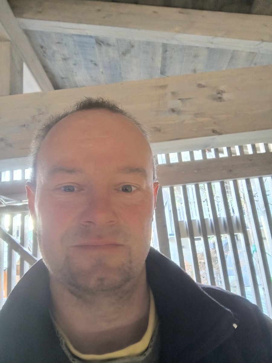 Anton lipp (@lippanton) on Twitter photo 