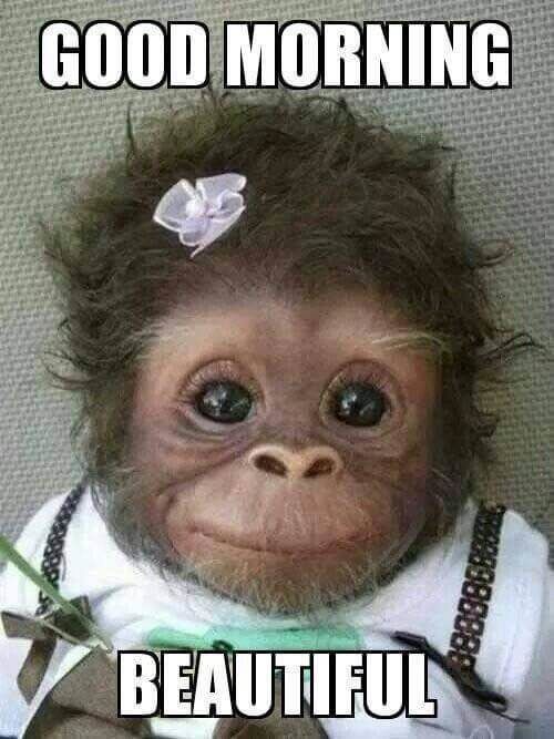 Good Morning All CT Legend 
<a href="/Everlyn_ai/">Everlyn</a>

Every generation gets one major media shift:  
TV → Internet → Social → Short-form
But we are standing at the edge of the next one . AI-native video identity

This is not just about creating content faster.  
It’s about new kind of