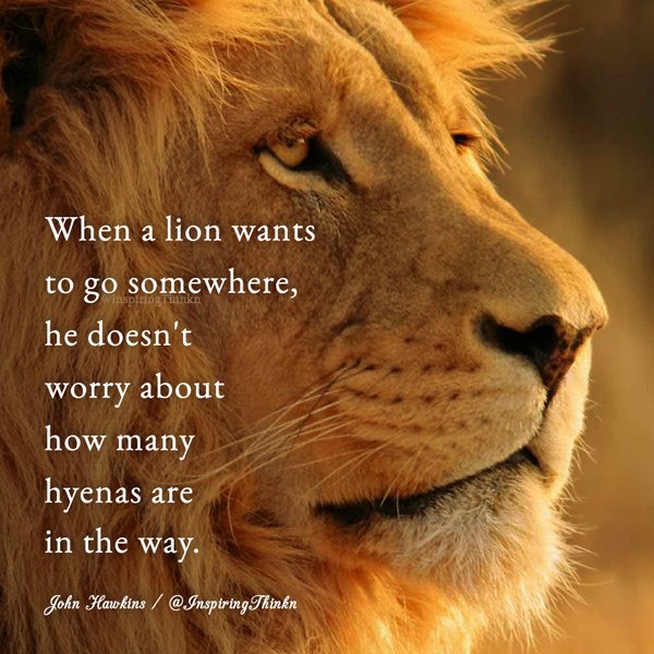 When a lion wants to go somewhere, he doesn't worry about how many hyenas are in the way. John Hawkins