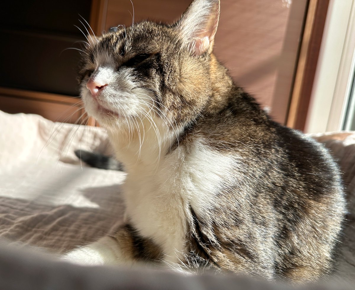 きょうもおひさまをあびたのよ