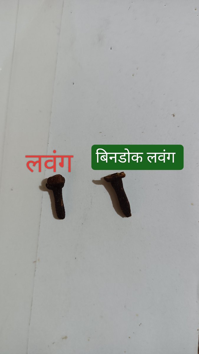 My humour 😂 #lavang #election #मराठी #जोक