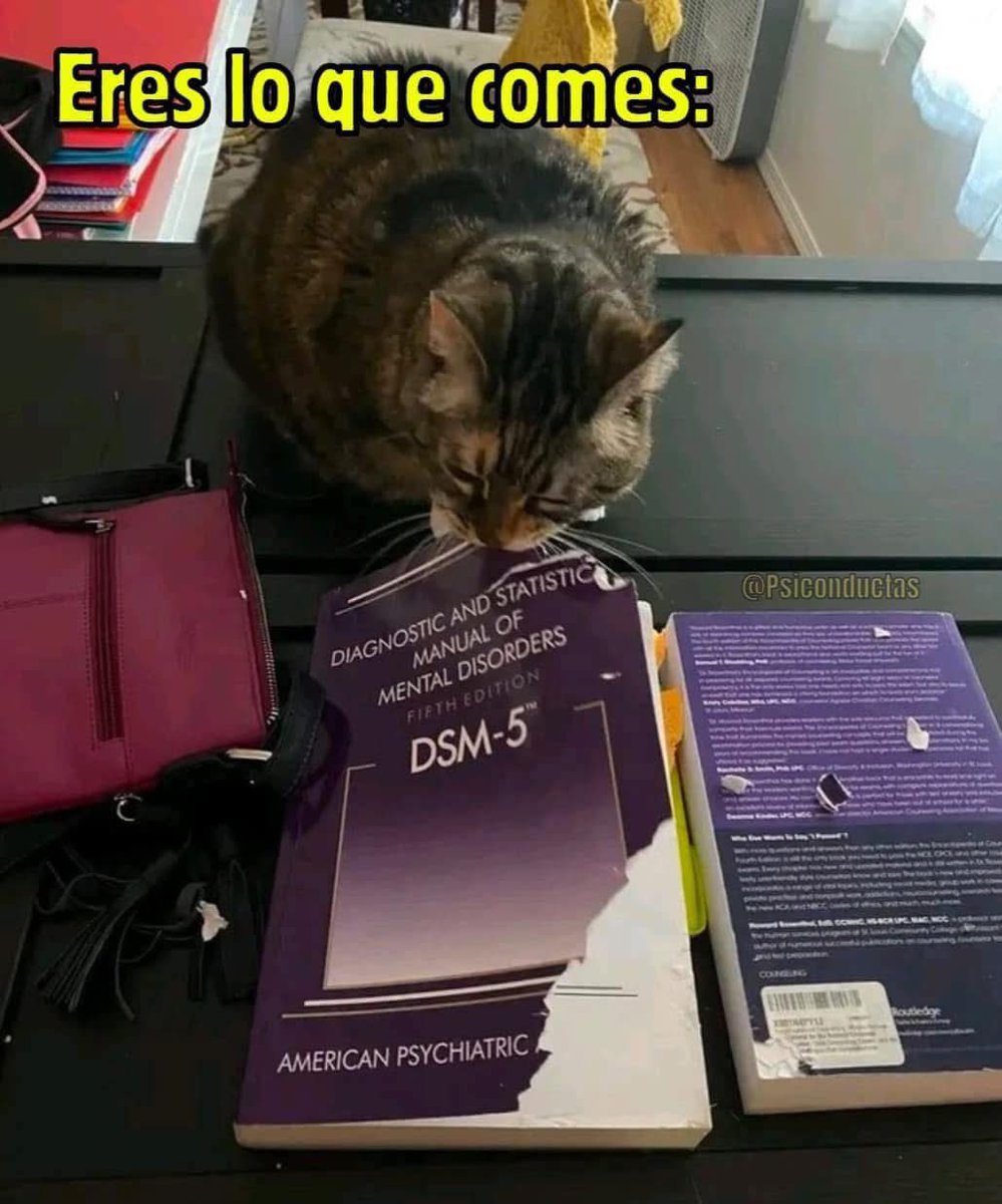 Dilo con gatitoz (@dilocongatitoz) on Twitter photo 