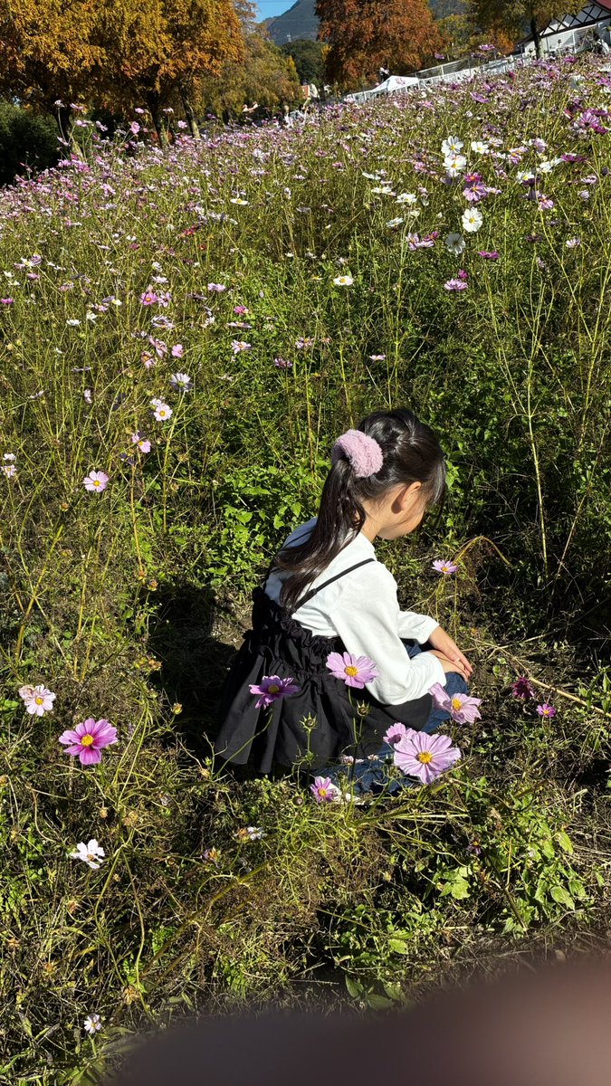 今年もやってきた！
ブルーメの丘！秋晴れ超きもちぃっ！