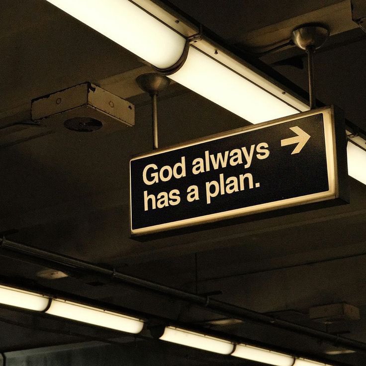 𝐀𝐲𝐝𝐞𝐧 (🪓) tweet media