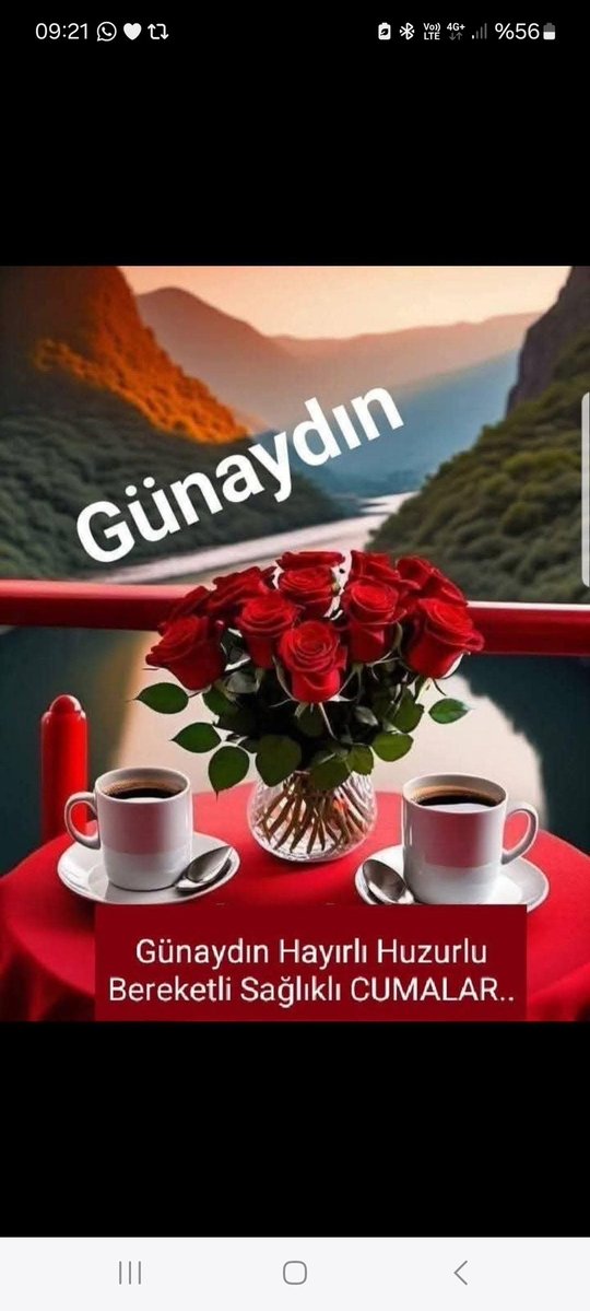 Hayrullah ATALAY (@atalayhayrulla2) on Twitter photo 