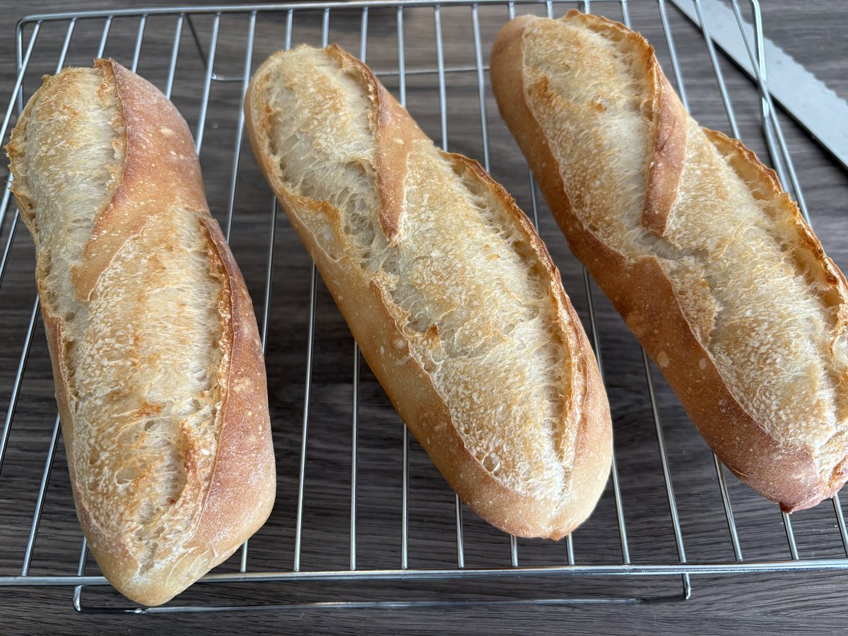 自家製米粉入りフランスパンと自家栽培パクチーモリモリのバインミーです