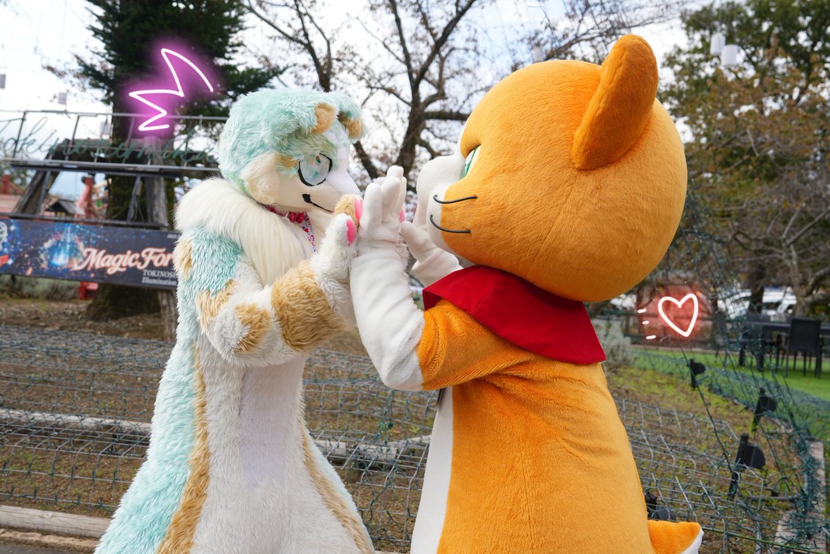 にゃんきち にゃん吉【公式】Nyankichi (@cat_nyankichi) / Posts / X