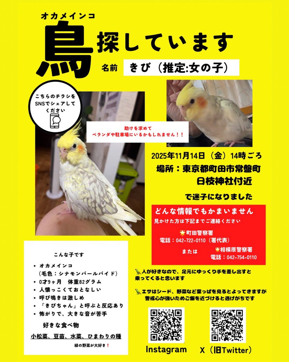 モーちゃん見つかりました！ (@motyan_0302) / Posts / X