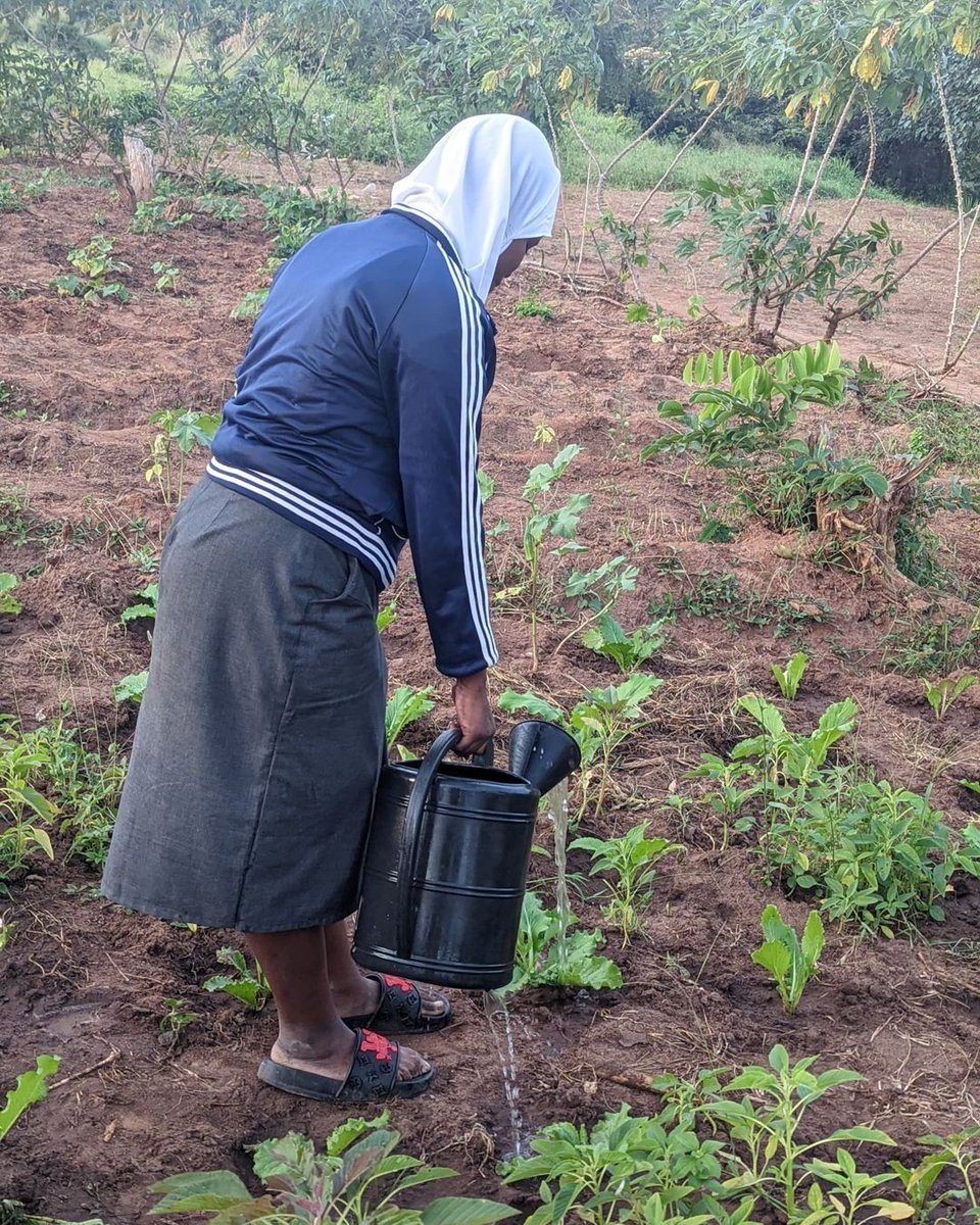 Tulilima mboga, tukauza juisi na maandazi, tukapika na kuoka keki  Tukafanya bonanza la vipaji , tukashiriki shughuli za usafi na kutoa misaada kwa wahitaji. Pia tuliuza ice cream  na mboga zilizopikwa. tukapaka rangi ukumbi wa shule