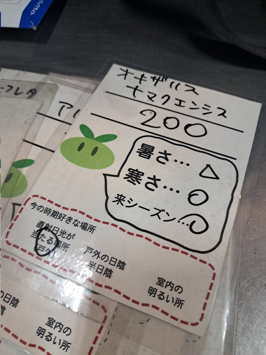 フラワーページ