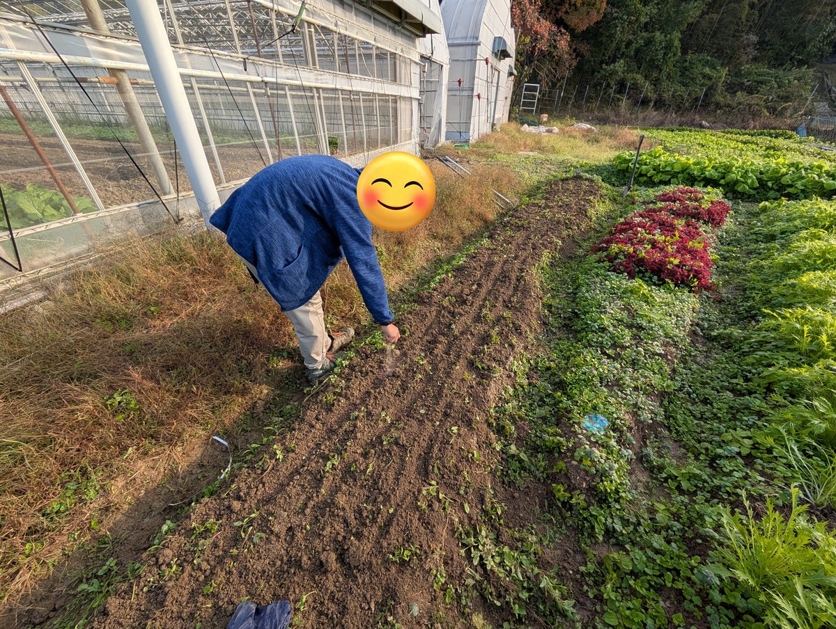 農業交流ネットワーク tweet media