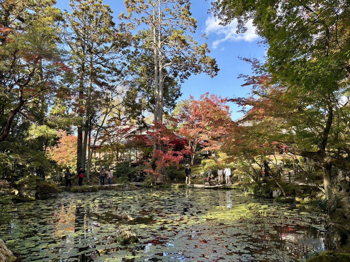 南禅寺 天授庵へ。個人的には、永観堂よりこちらの紅葉が好み。紅葉