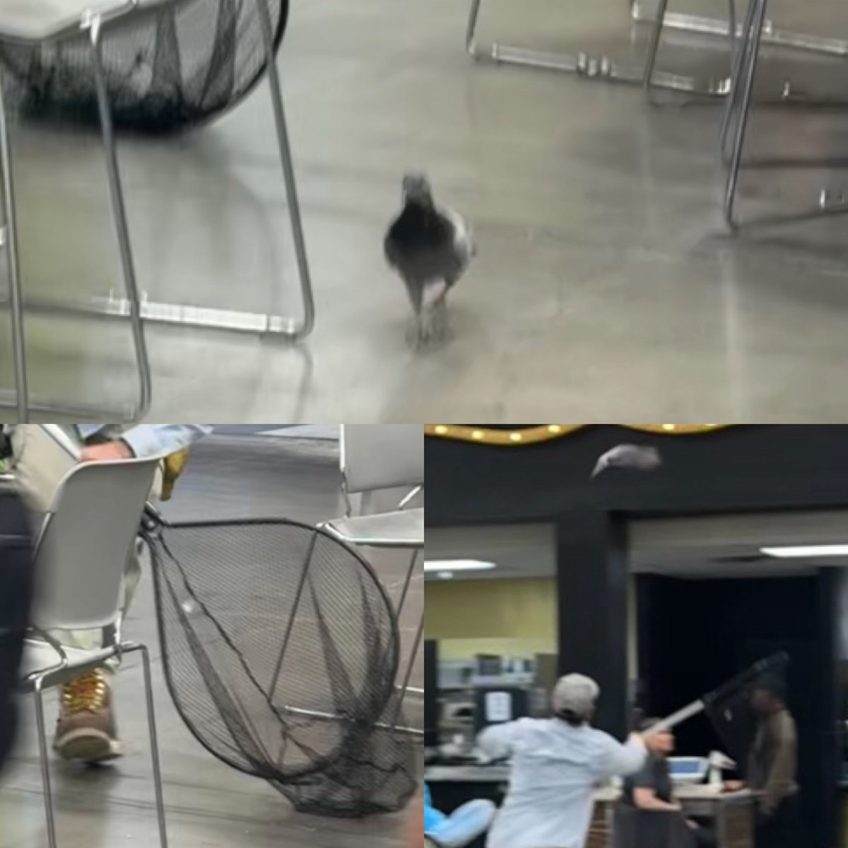 ♥️ TCR | mega shenasty tweet media