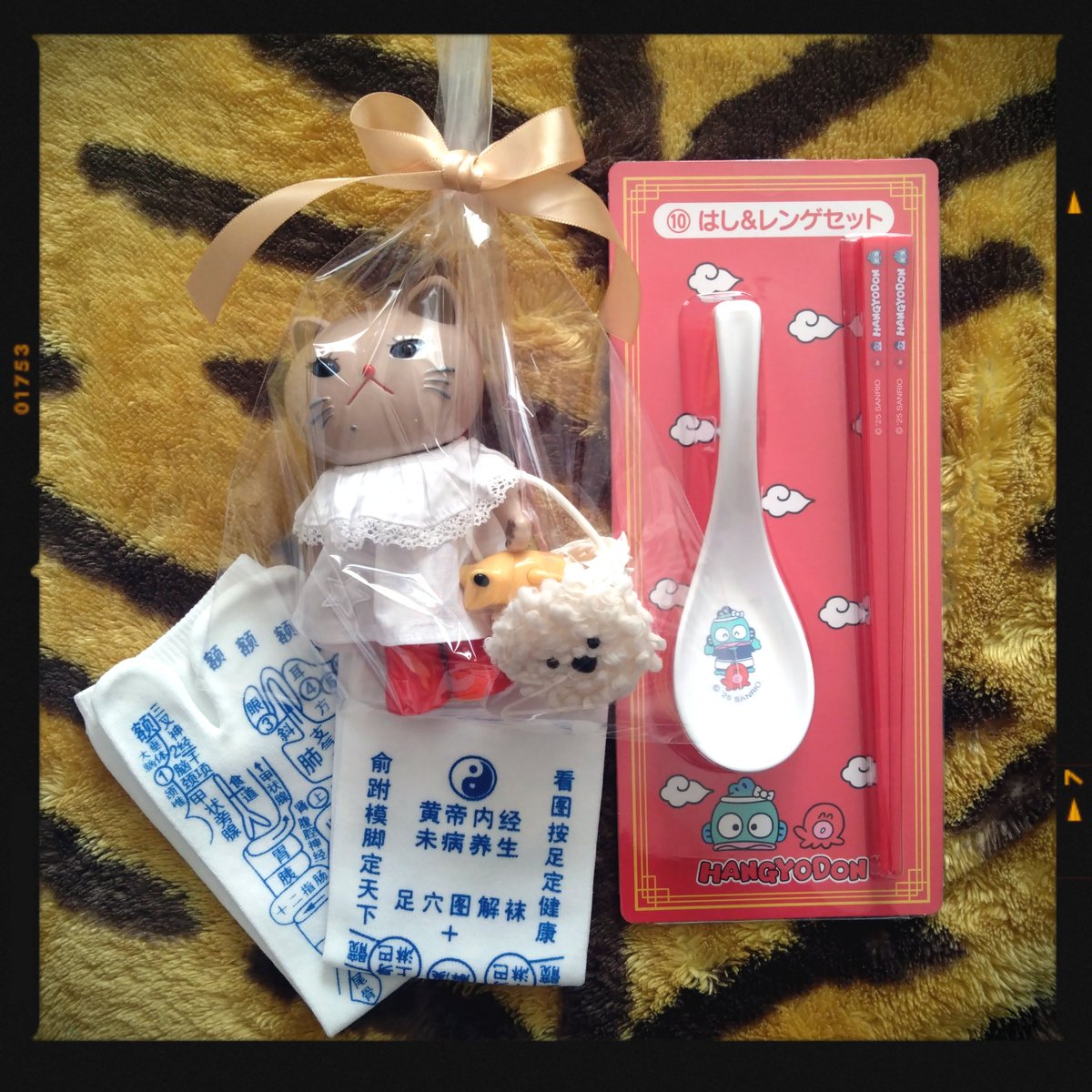 ΦωΦ)ﾌﾌﾌ… コイちゃんにも メイクを施した٩(๑卍ω卍๑)۶ (ΦωΦ)ﾌﾌﾌ…