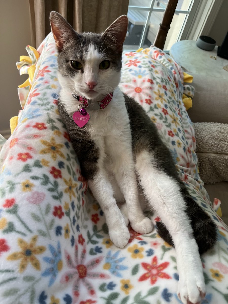 Me when I lived at grandma and grandpas