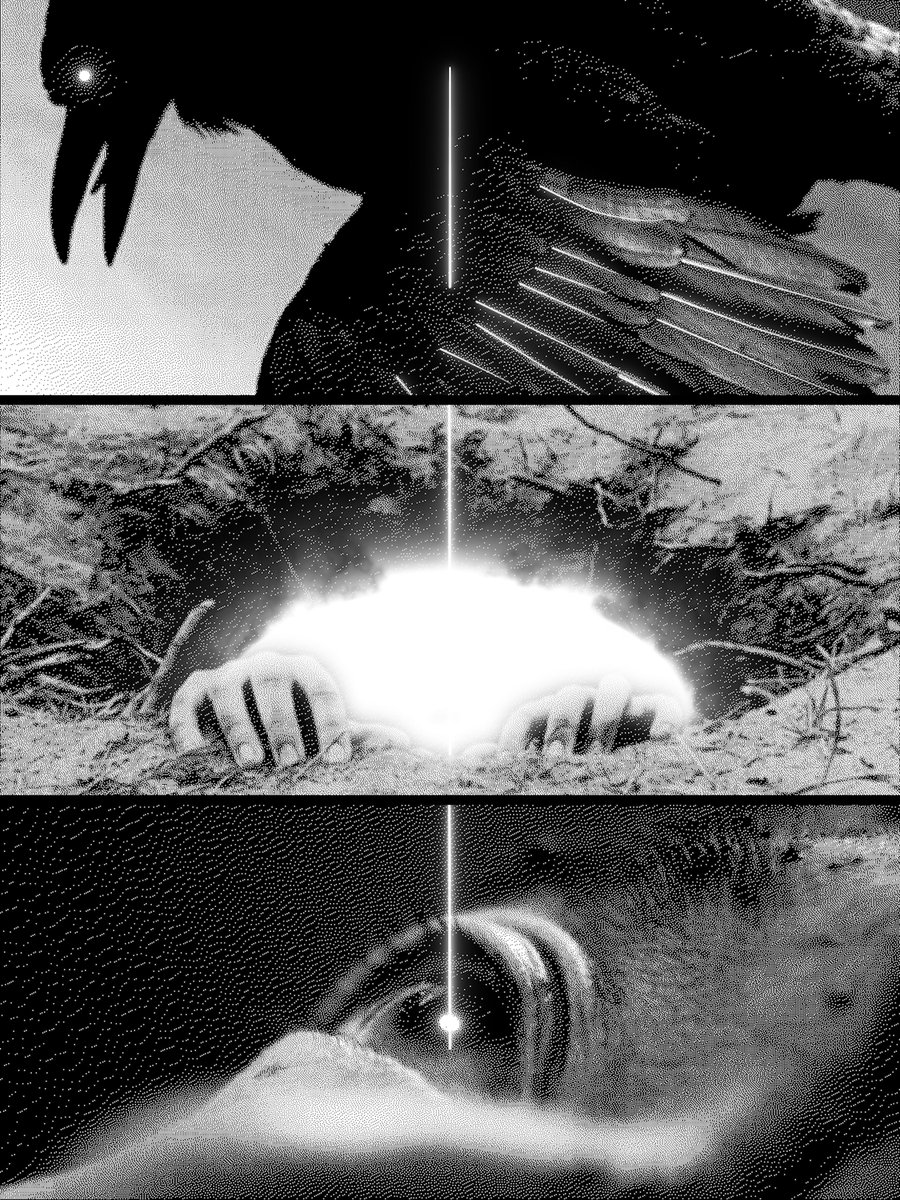 ALCrego_'s tweet image. 