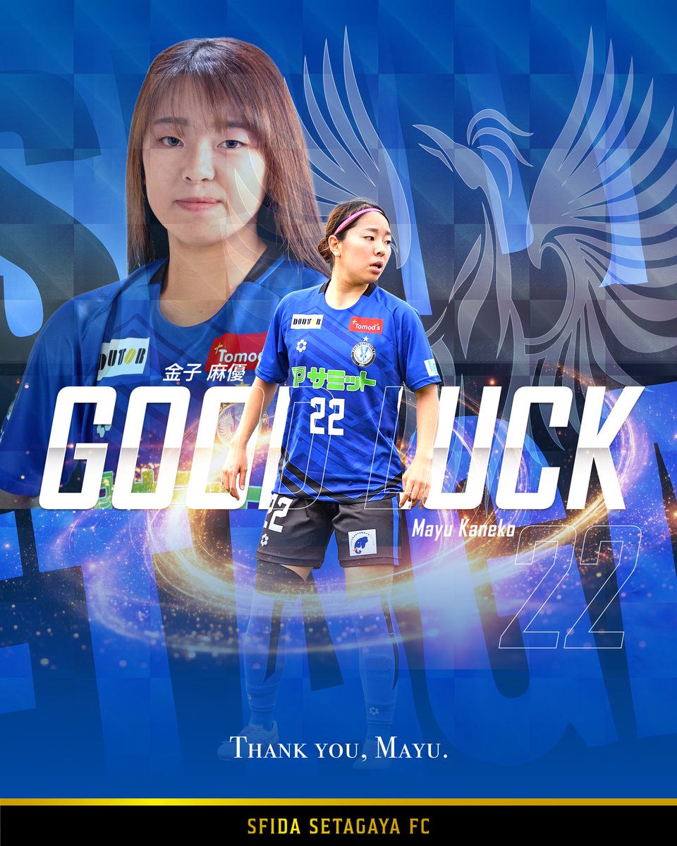 スフィーダ世田谷FC (@sfidafc) / Posts / X