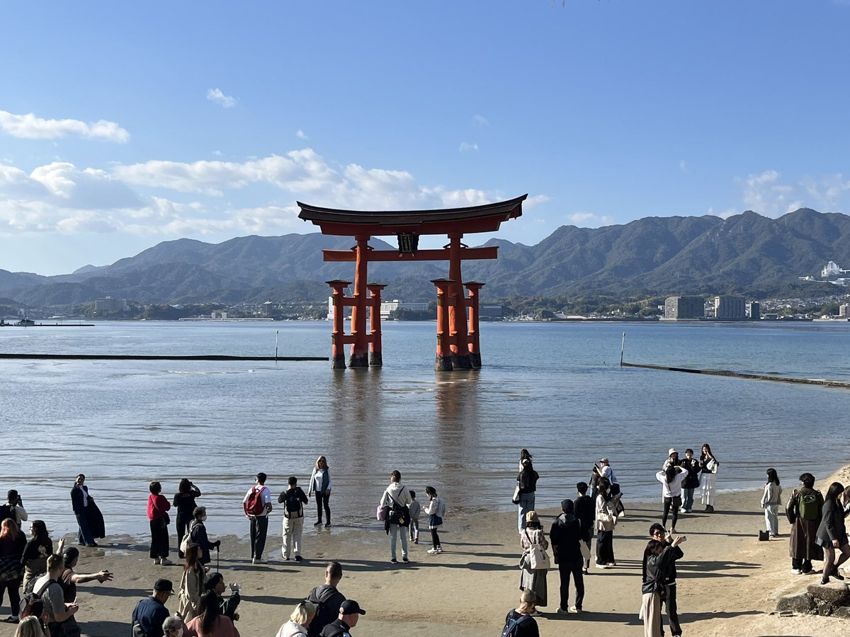 ひまわり畑のにゃんころりん (@nyankororin0024) / Posts / X