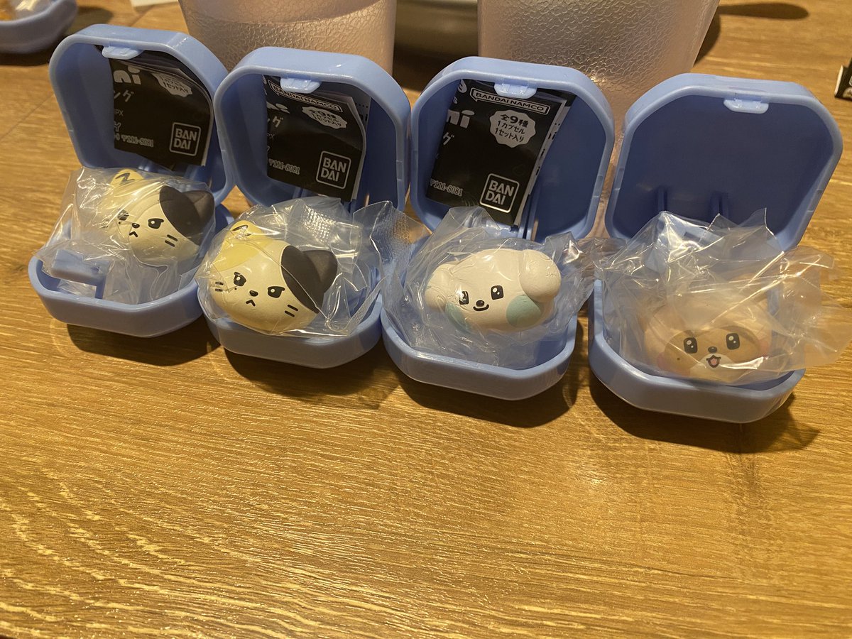 ビニビニ🐹🐹 tweet media