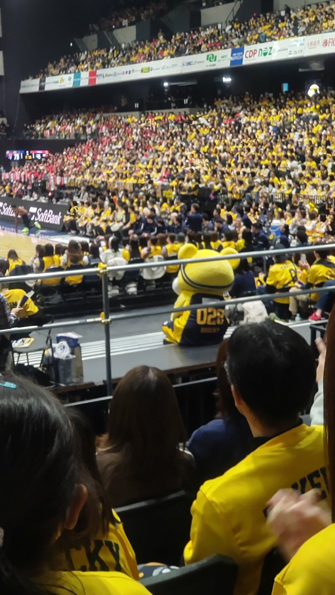 ブレッキー ＃宇都宮ブレックス