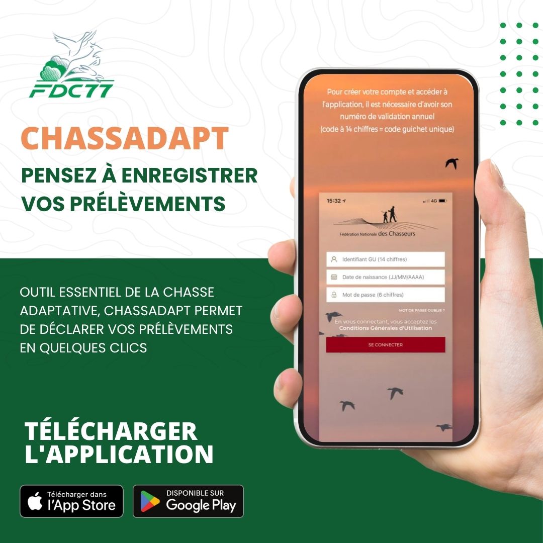 📱 Pensez à enregistrer vos prélèvements sur #ChassAdapt !

 Un geste simple pour une chasse responsable et la préservation des équilibres naturels 🌿
 Merci à tous ceux qui participent à une gestion durable de la faune 🙌

 #FDC77 #ChasseResponsable #ChasseConnectée