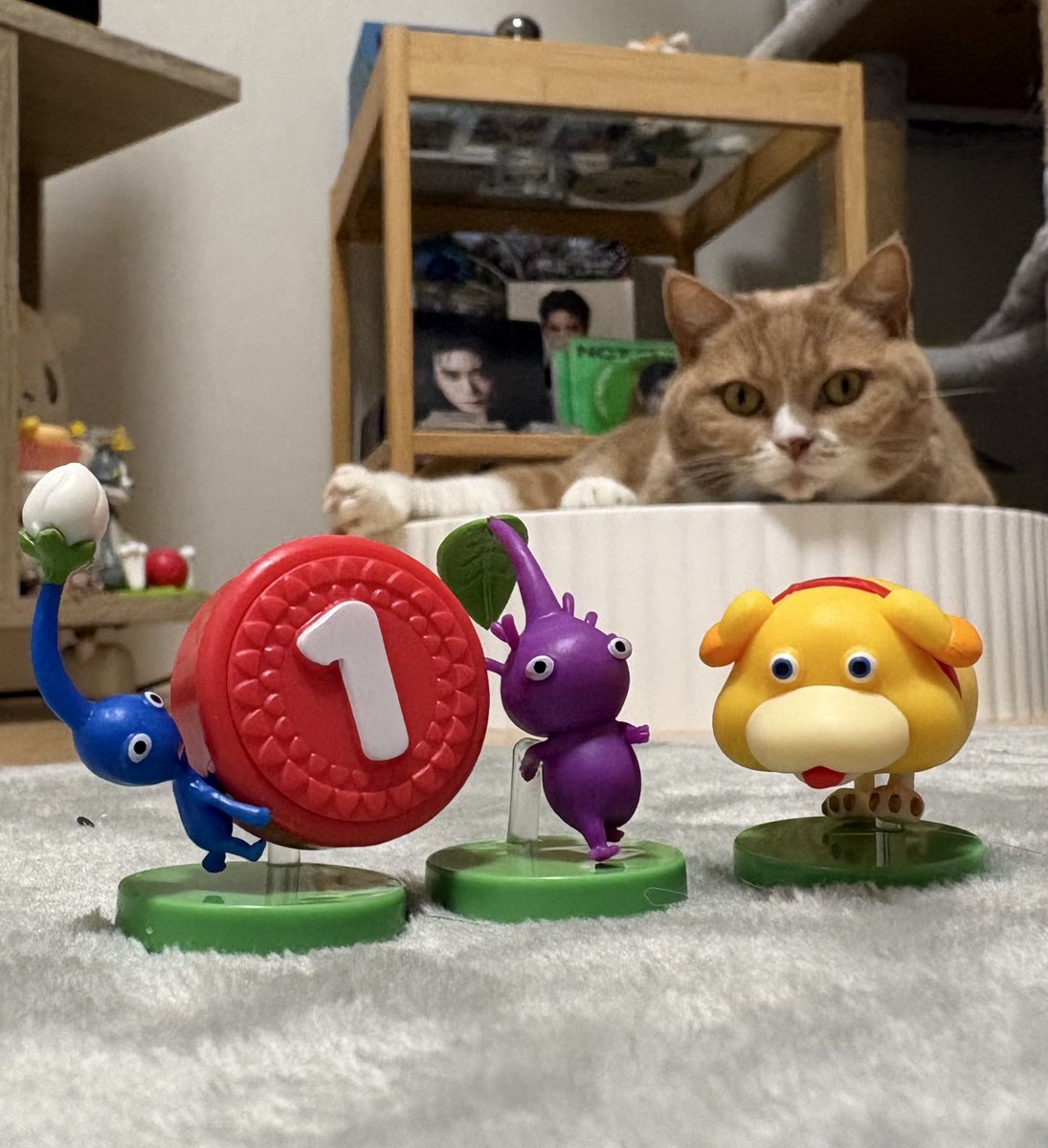 オッチン出たぁ！！！！！！嬉しい！！！！！