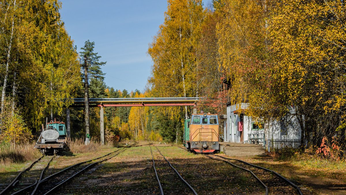 Тепловоз ТУ6А-2172 на ст.Центральный Посёлок, УЖД Пищальского ТПР Кировская обл, 08.10.2025. Diesel locomotive TU6A-2172 at the Tsentral'nyy Poselok station, Pishchalskoye peat narrow-gauge railway in Kirov Oblast, 08.10.2025. Photo: Pavel Korshunov #Russia #TU6 #ужд #узкоколейка