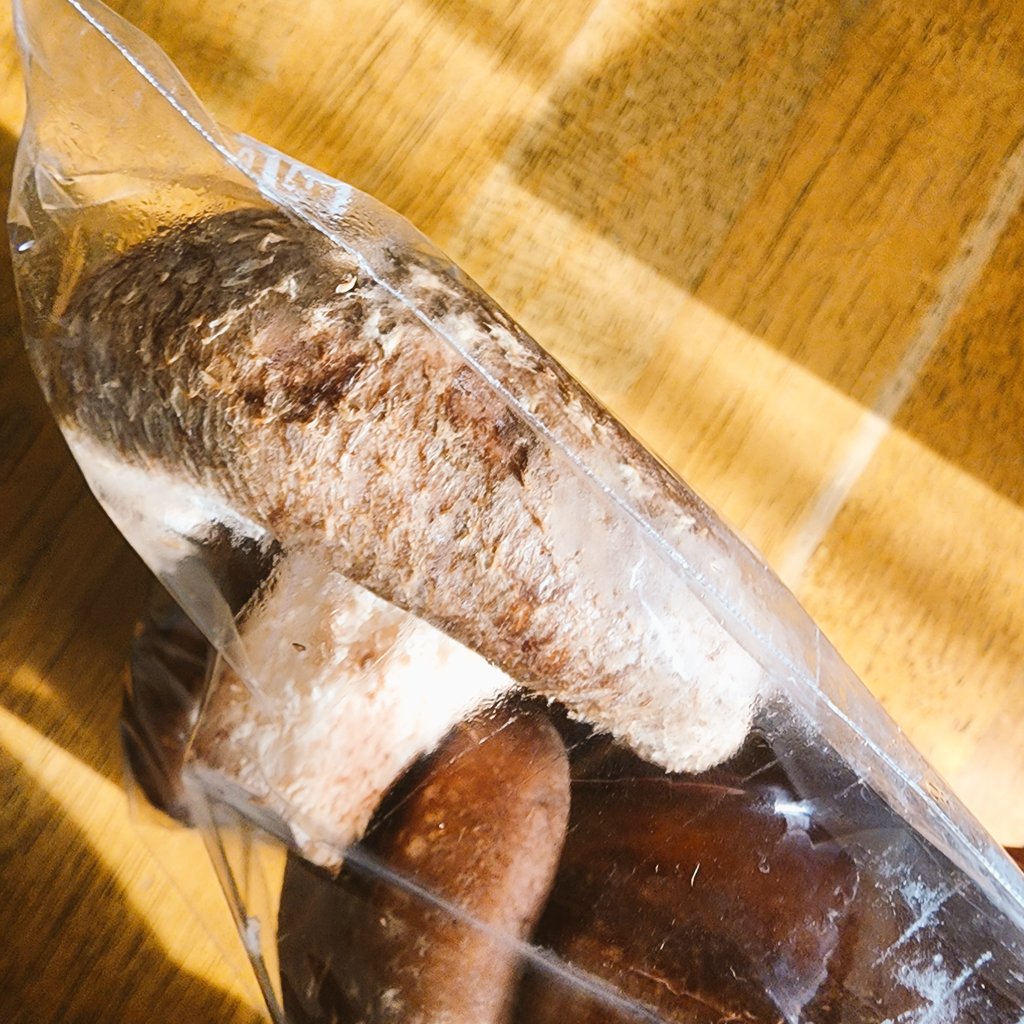 遠出ドライブから帰宅🚗³₃ 己の誕生日プレゼントとして、にっこり