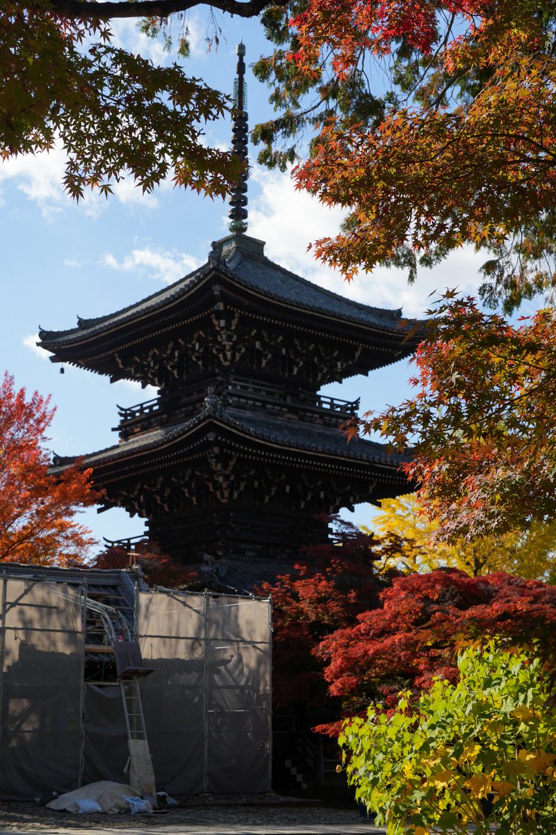 IDOL_57's tweet photo. 人の少ない紅葉スポットをブラブラしてお気に入りのこちらでお昼ごパンを🥐
イートインが無くなったけど、パンのラインアップも増えて日曜も営業になったのでヨシ！
#PointPourPoint https://t.co/86jkzij47i