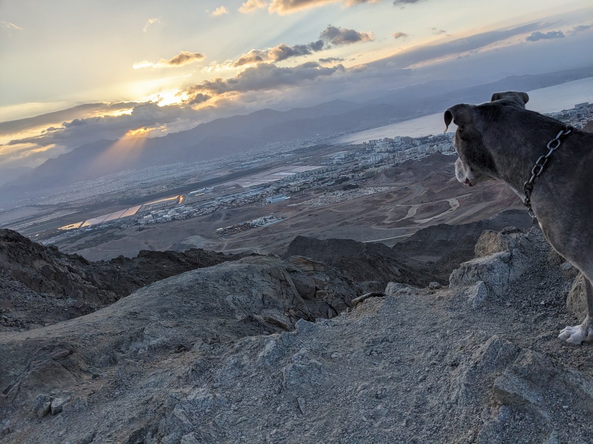 ההרים פה עקומים ממש