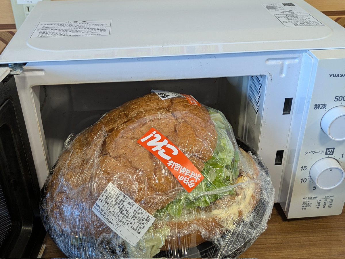 デカい！異様な大きさのパイザラゴミムシ デカい！異様な大きさのパイ