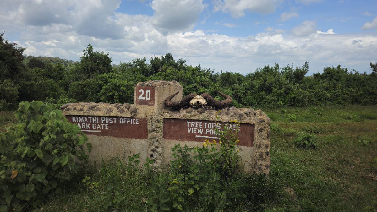 Majestic views from the Aberdare National Park.