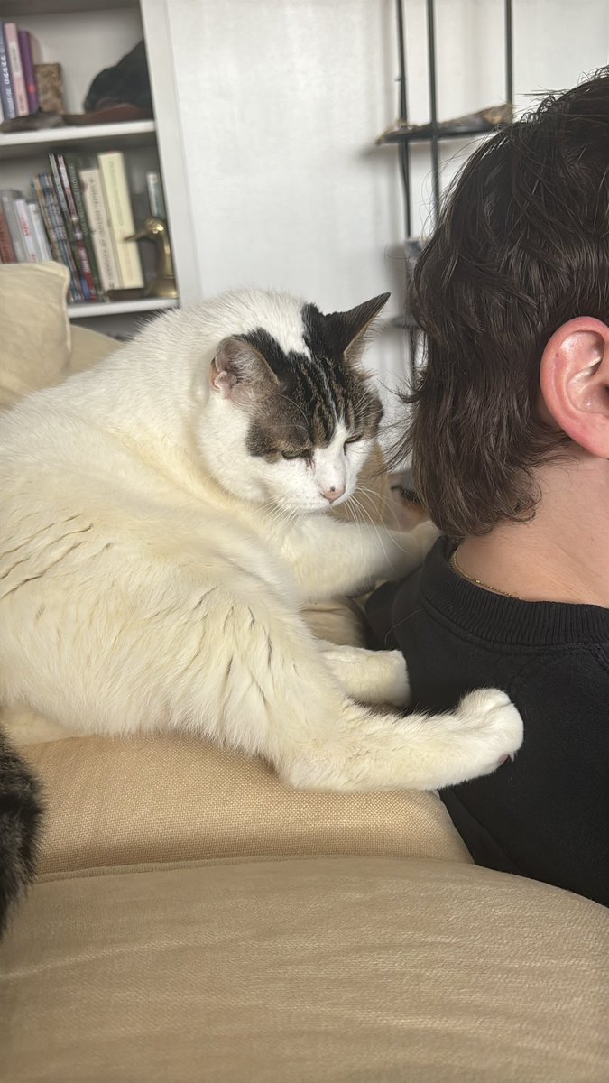 quartzscribble's tweet image. He can’t be away from me for 2 seconds