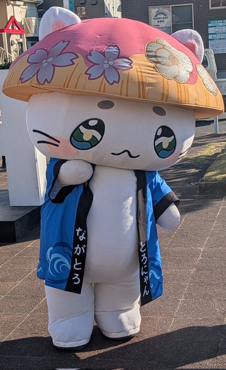 埼玉県長瀞町「とろにゃん」 #はにゅはにゅ