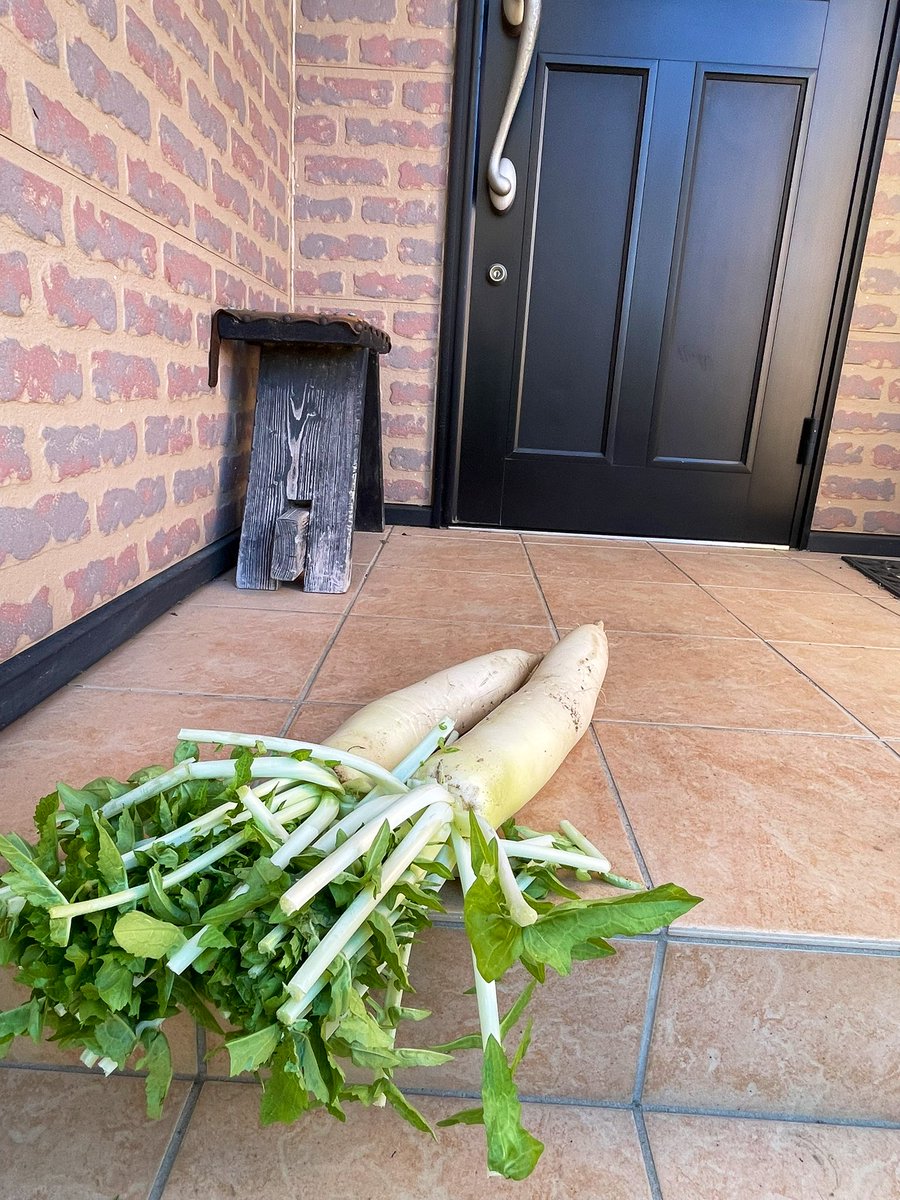 roymona67's tweet image. 朝起きて自転車乗って
帰って来たら藪塚あるある
玄関に大根😆
草むしりして
畑ににんにく🧄植えた
洗濯して🧺
さて仕事するかぁ