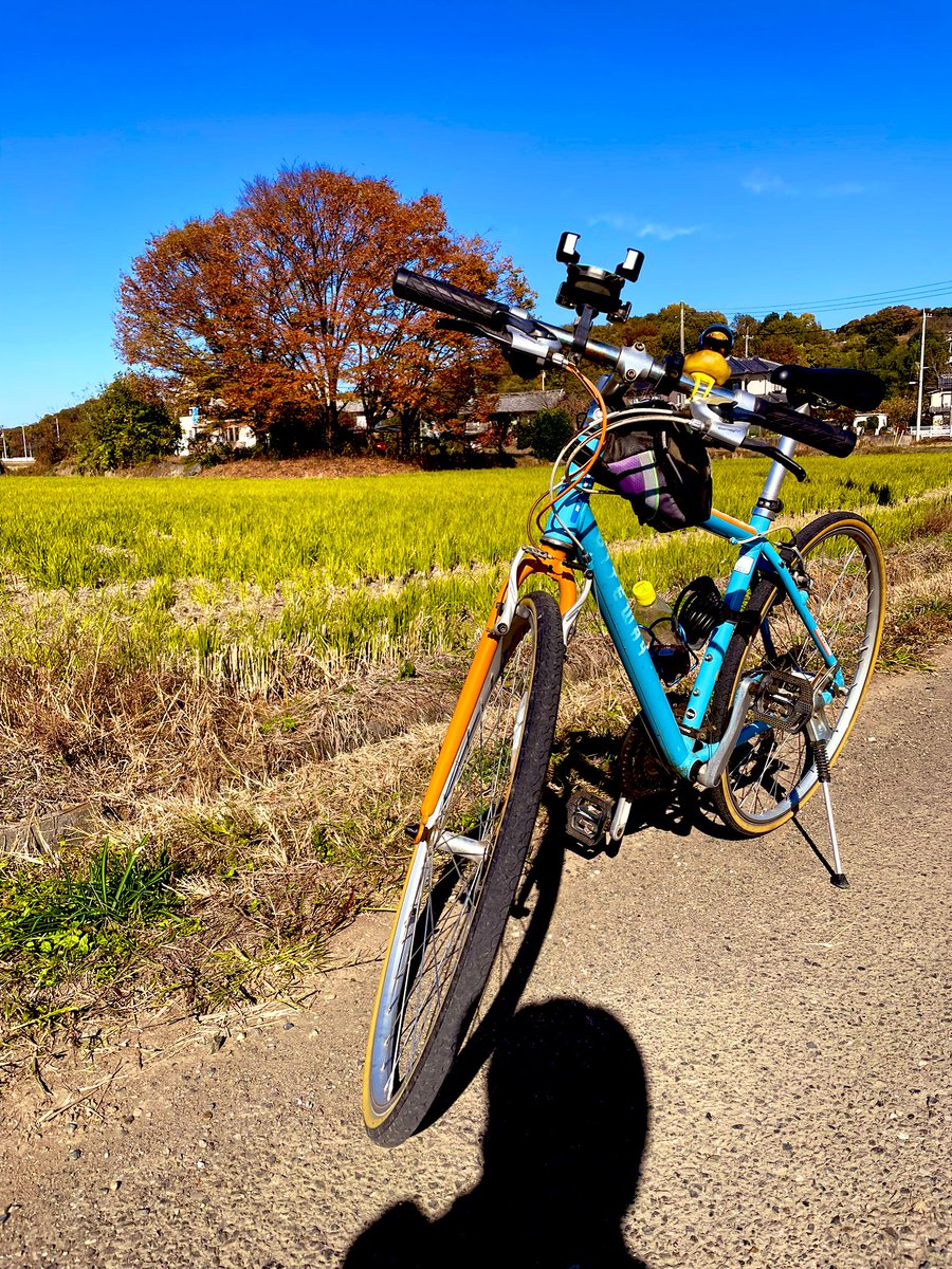 roymona67's tweet image. 朝起きて自転車乗って
帰って来たら藪塚あるある
玄関に大根😆
草むしりして
畑ににんにく🧄植えた
洗濯して🧺
さて仕事するかぁ