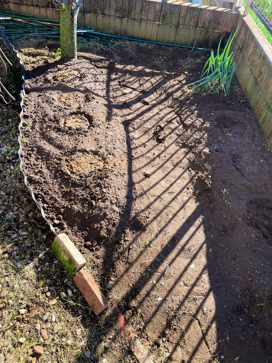 roymona67's tweet image. 朝起きて自転車乗って
帰って来たら藪塚あるある
玄関に大根😆
草むしりして
畑ににんにく🧄植えた
洗濯して🧺
さて仕事するかぁ