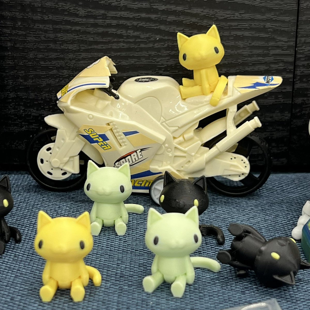 こねこはバイク乗っていい歳ですか？？？