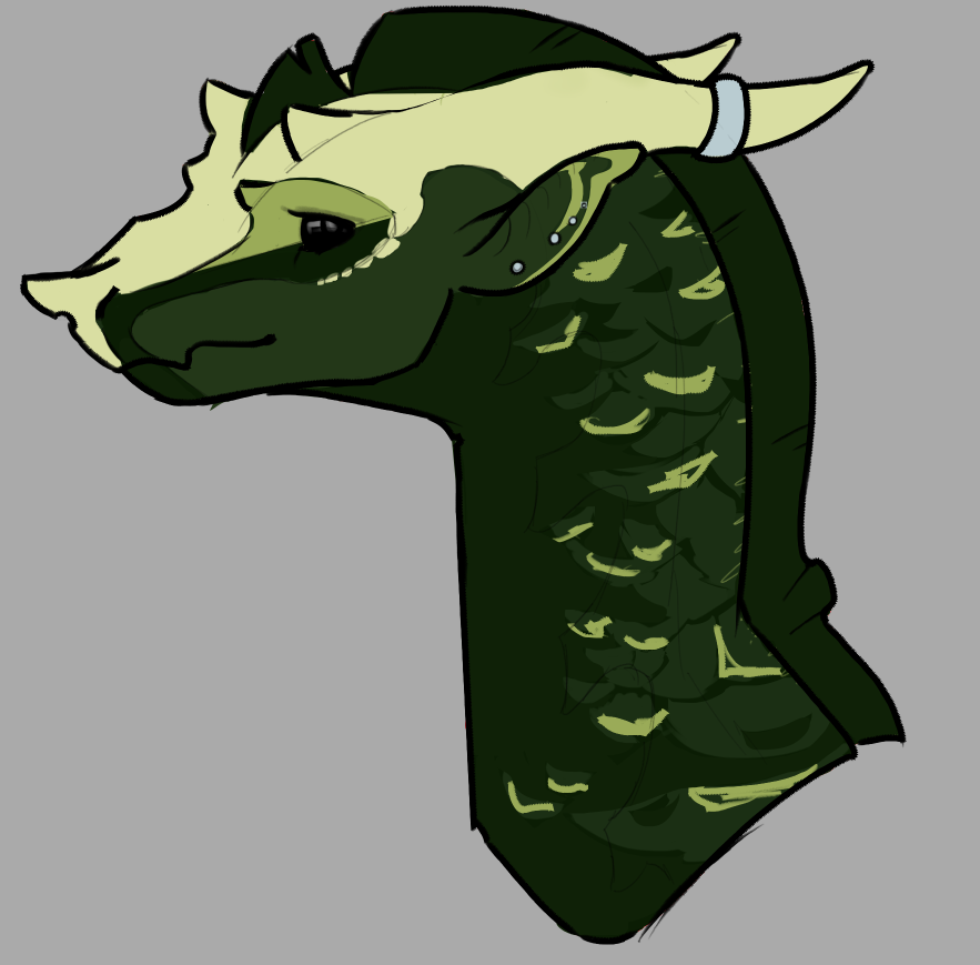 _Ray_Lumen's tweet photo. Wings of fire/dragon headshot sketches https://t.co/fKD4538qS0