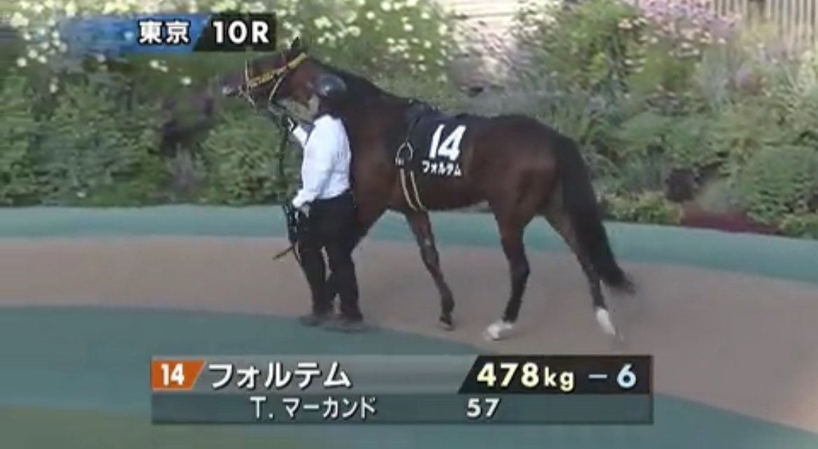 Post by あらあら(@一口馬主) on X: フォルテム頑張れ