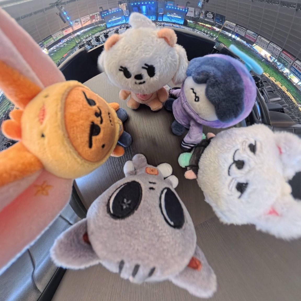 L0VELYBEOMIE's tweet image. HELP THIS PPULBATU PIC IS SO CUTE 😭😭😭😭😭